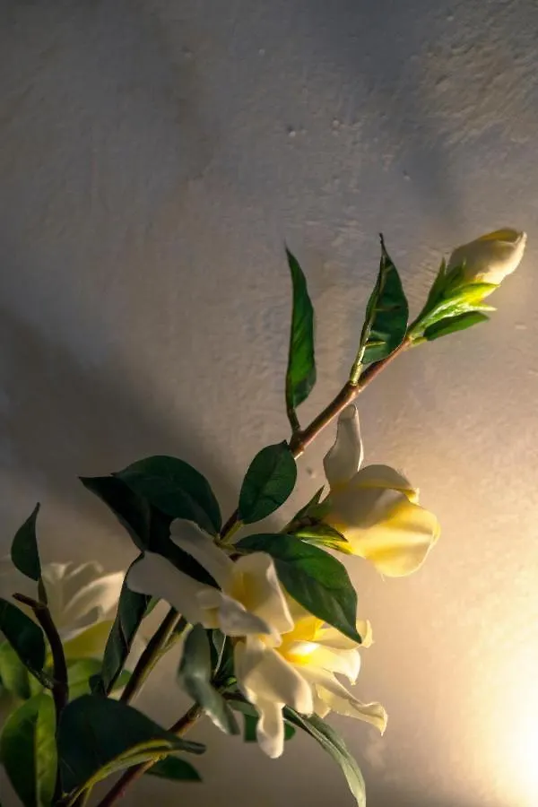 Appartamento Ca’ Anna in Biennale Venezia